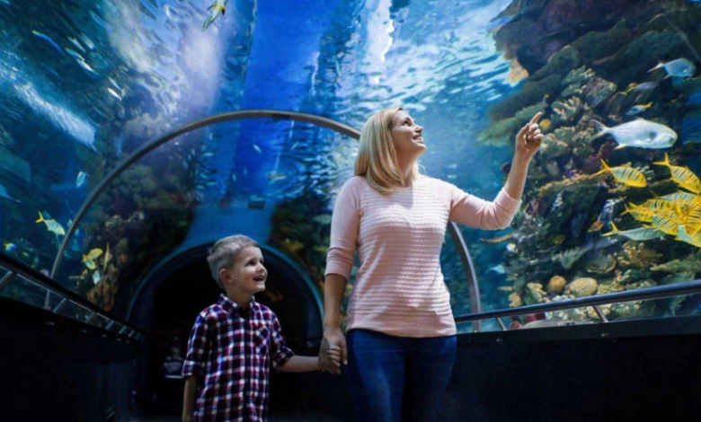 Family Day Out in Kuala Lumpur: Discovering Aquaria KLCC