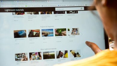 nextgen digital framework online