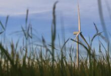 secure cloud growth solutions