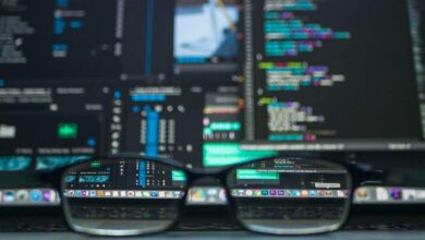 software systems support services